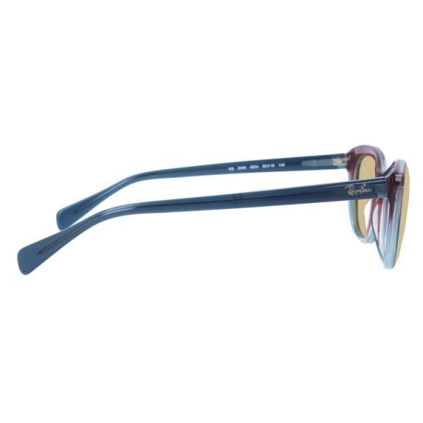 Ray-Ban サングラス ブラウンレンズ レイバン公式ストア】 Ray-Ban® RB4466D サングラス | 透明