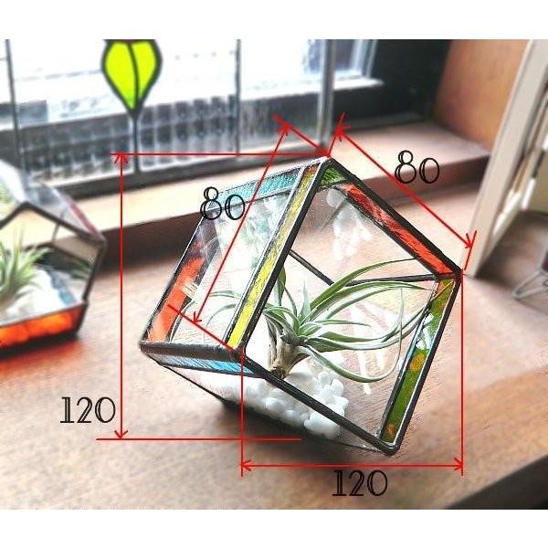 ガラステラリウム　ハウス型プラントケース　アンティーク調　観葉植物　エアプランツ エアプランツが主役の吊るせるガラステラリウム | botanical life
