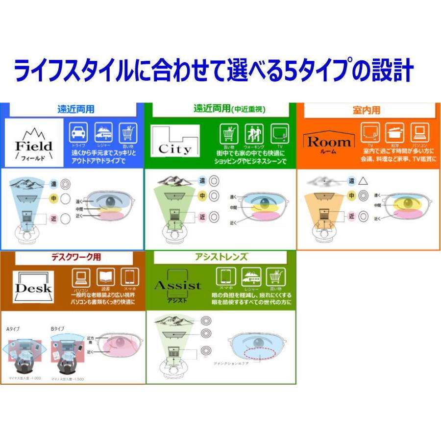 HOYA 遠近両用メガネ 老眼鏡 度つき 度入り PG-352 日本製 フレーム