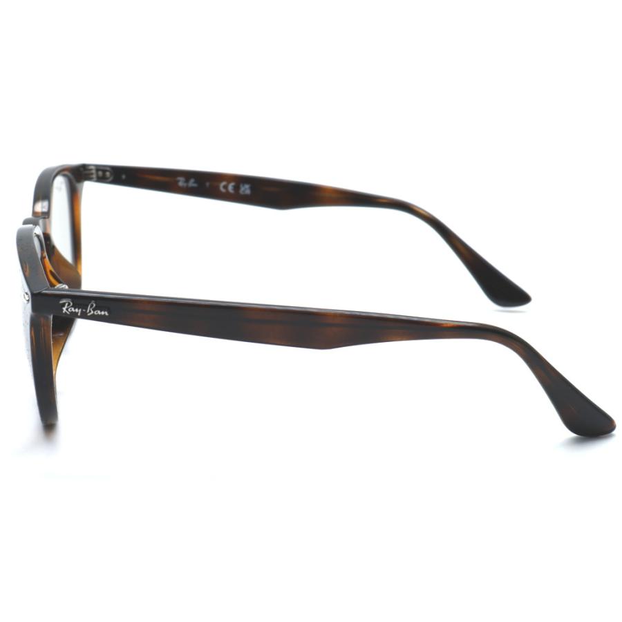 Ray-Ban（レイバン） 【RayBan】レイバン RB4259F 710/87 フル