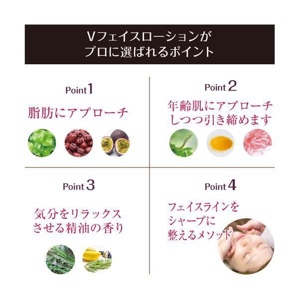 La Sincia ラシンシア タイトヴィサージュ Vフェイスローション 100ml