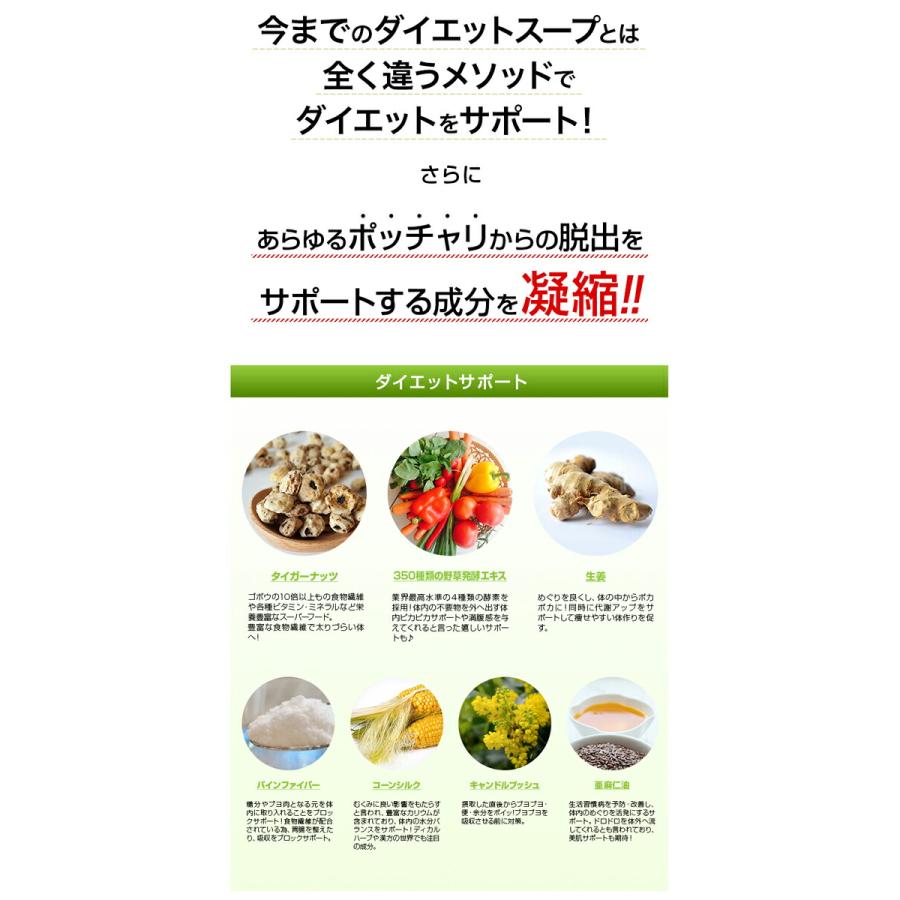 成田式ナチュラルポタージュダイエット100 100g 乳酸菌入り 置き換え