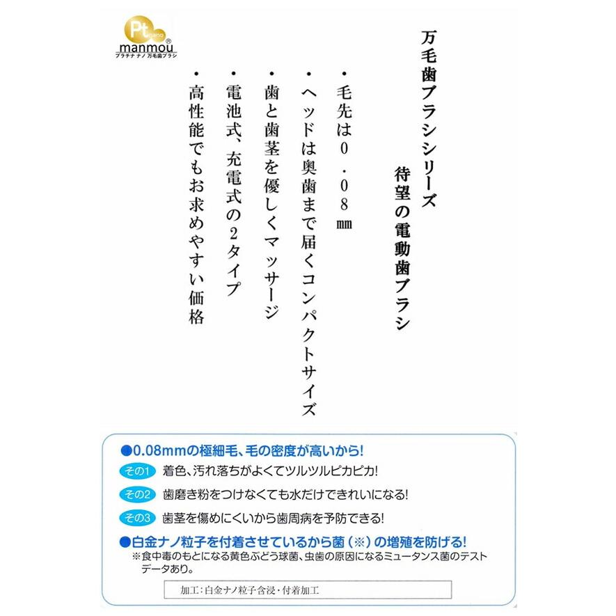 バイオエポック　プラチナナノ音波式電動歯ブラシ　充電式　PTN972-W　オーラルケア　口臭予防　虫歯予防｜glassgow｜03