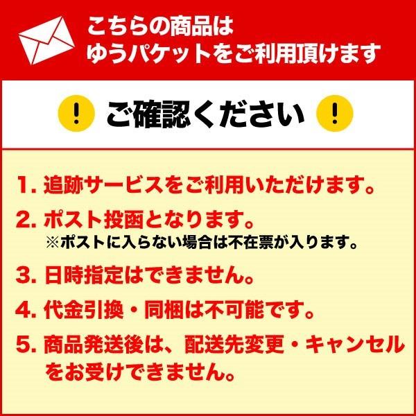 【メール便対応】MINOLOGI マイノロジ 薬用重曹ステインプロ ストロング 30g｜glassgow｜04