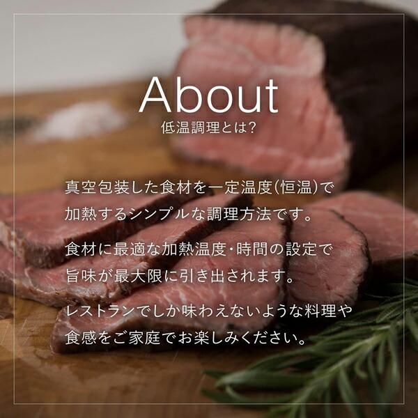 貝印 KaiHouse aio The Sousvide Machine 低温調理器 DK5129