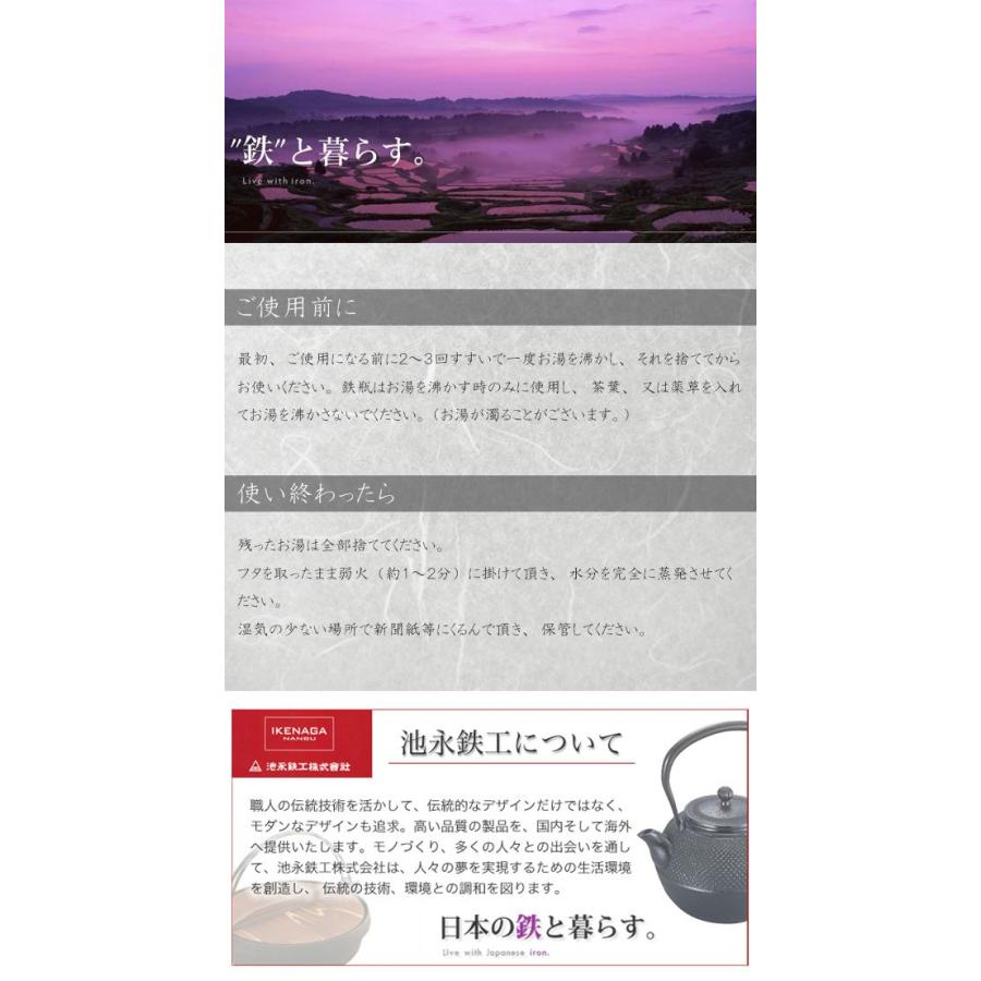 池永鉄工 鉄瓶 楓 かえで 約2.0Lの画像