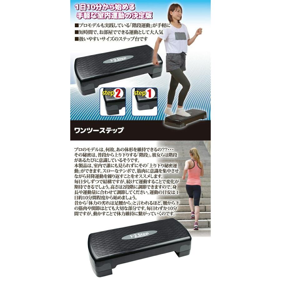 後藤 ワンツーステップ トレーニング 昇降運動 ボディケア