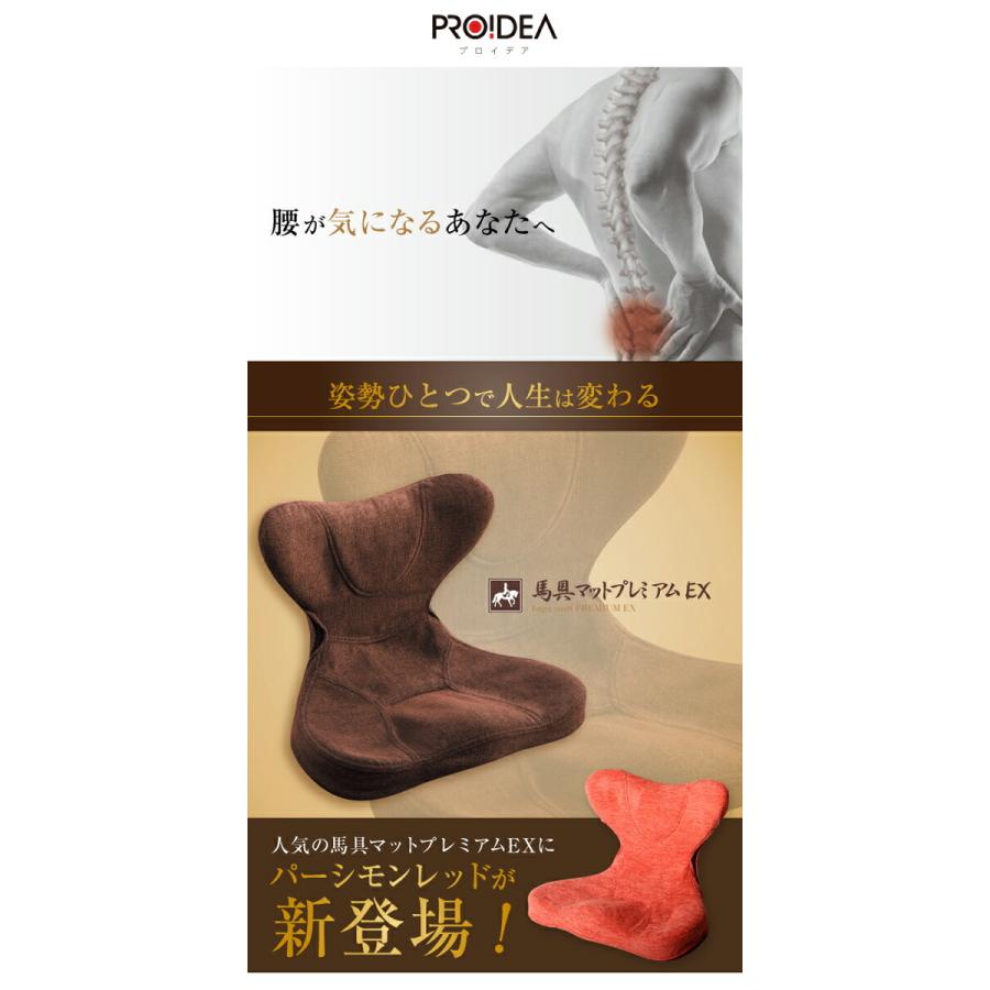 ドリーム　プロイデア　馬具マットプレミアムEX　ダイエット　姿勢矯正