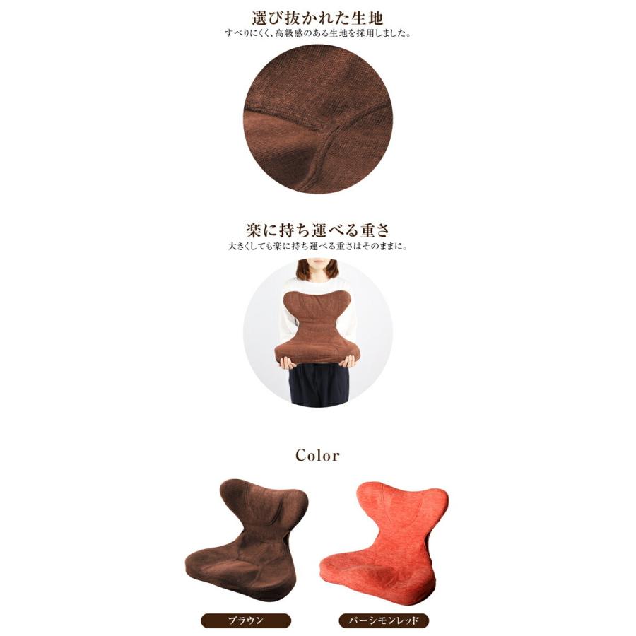 ドリーム　プロイデア　馬具マットプレミアムEX　ダイエット　姿勢矯正