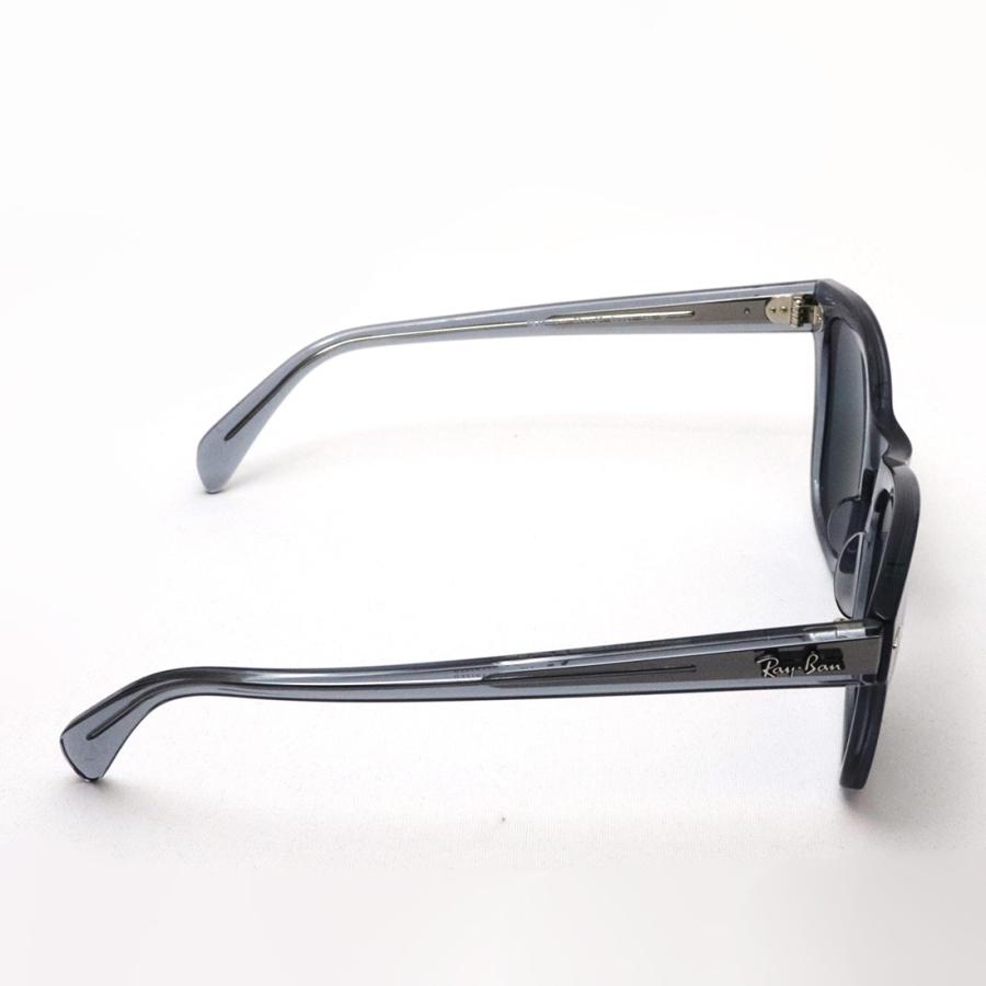 Ray-Ban レイバン 偏光サングラス プレミア生産終了モデル