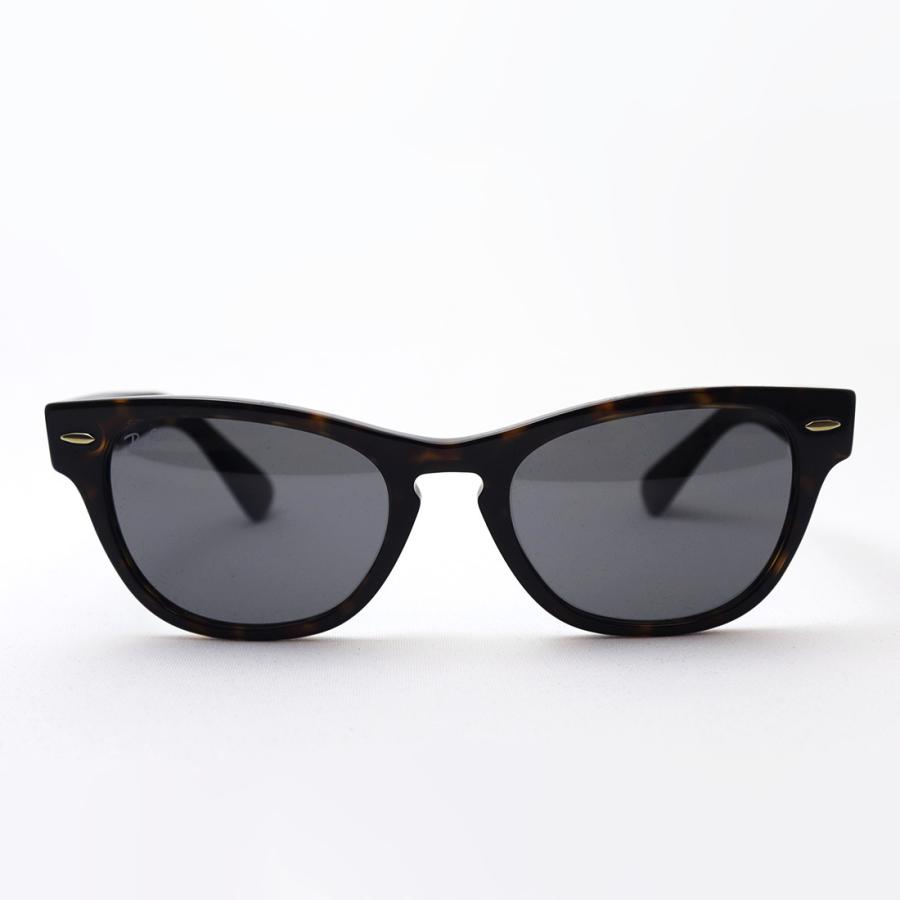 Ray-Ban レイバン サングラス プレミア生産終了モデル RB2201 902B1 