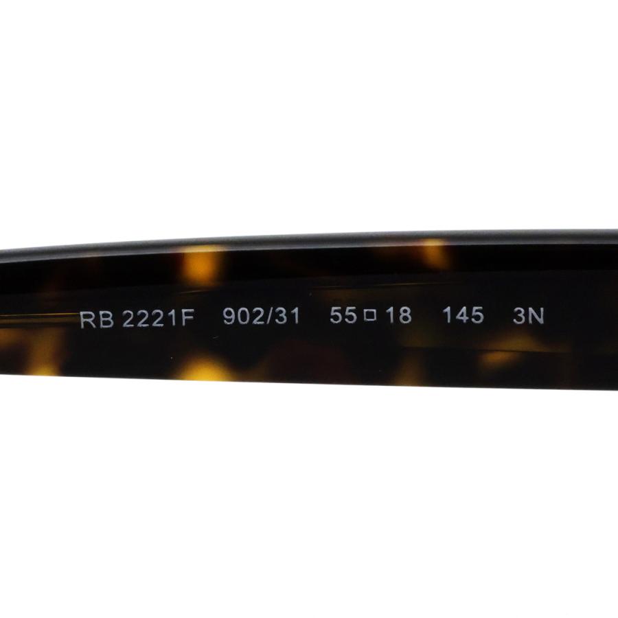 Ray-Ban（レイバン） サングラス Ray-Ban RB2221F 90231 55 オーバル