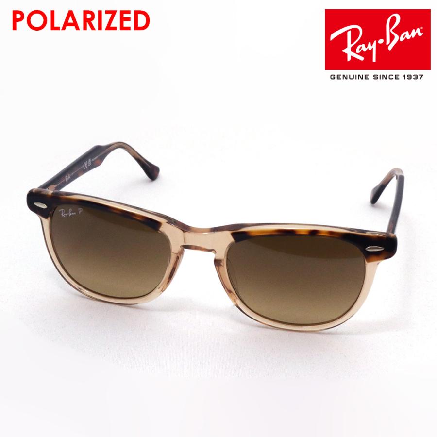 Ray-Ban レイバン 偏光サングラス プレミア生産終了モデル