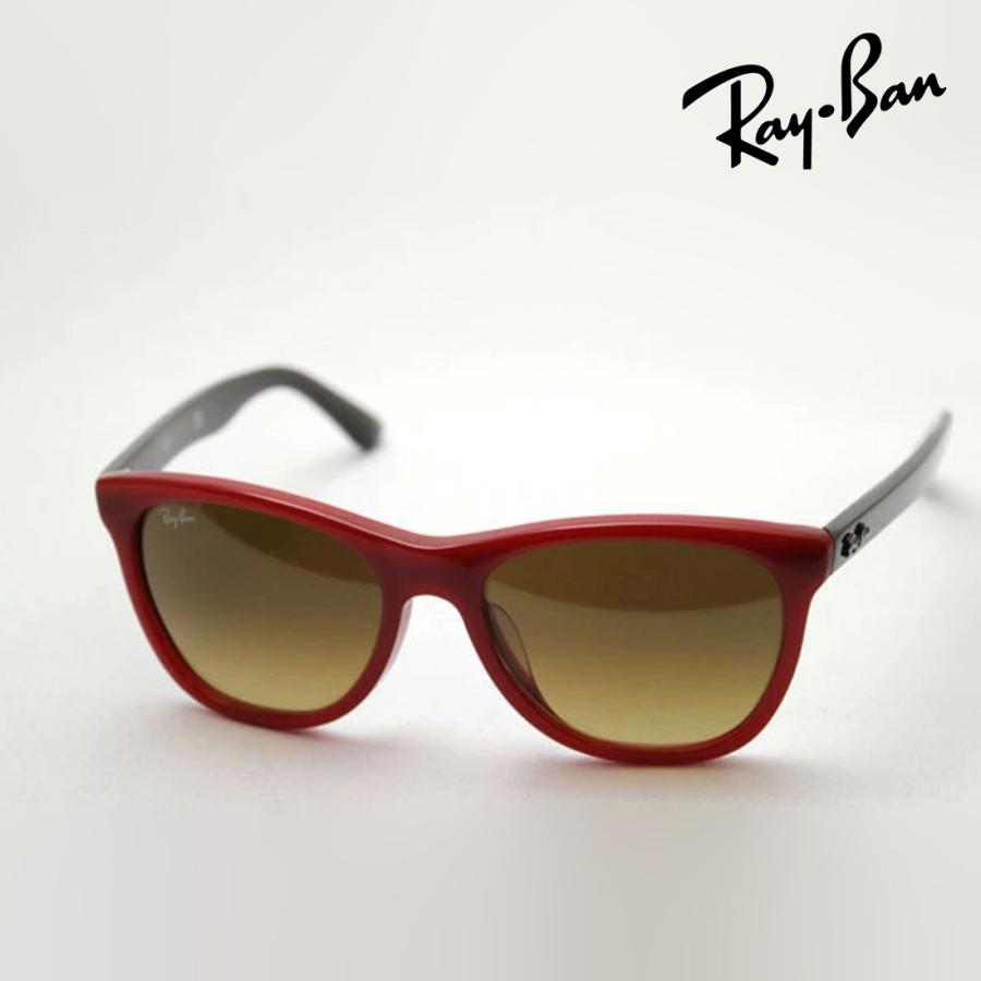 Ray-Ban（レイバン） サングラス プレミア生産終了モデル Ray-Ban