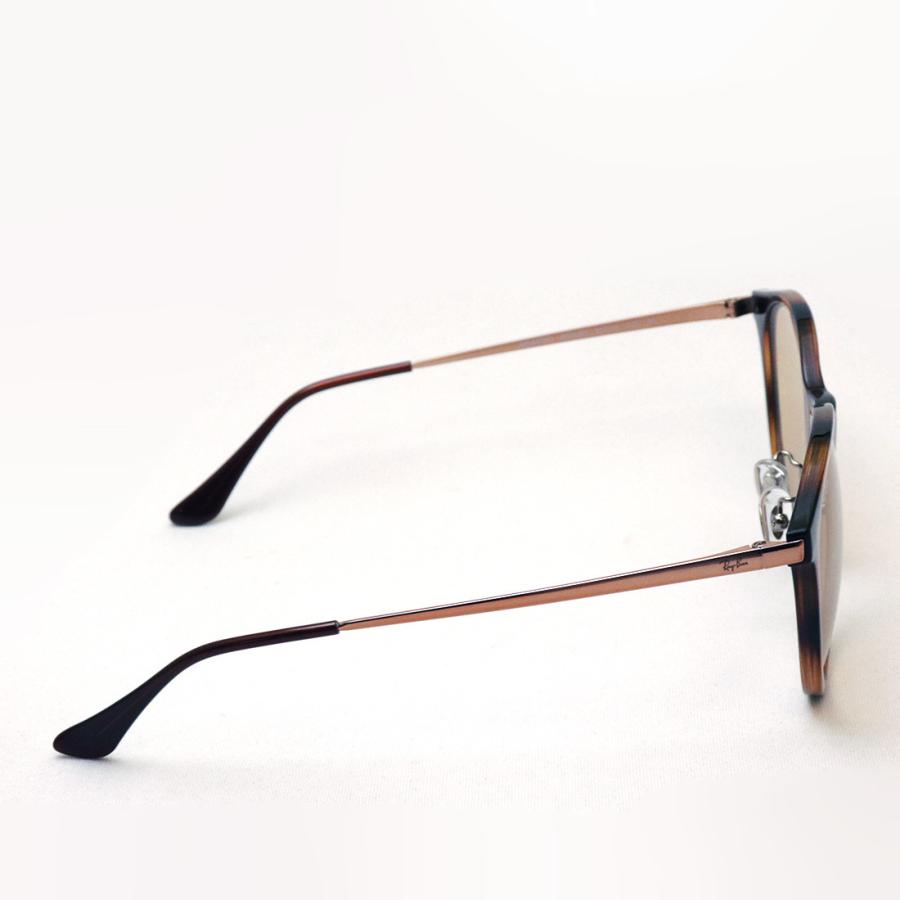 Ray-Ban（レイバン） サングラス プレミア生産終了モデル Ray-Ban