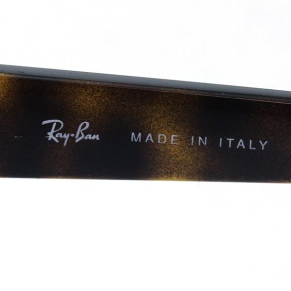 Ray-Ban（レイバン） サングラス プレミア生産終了モデル Ray-Ban