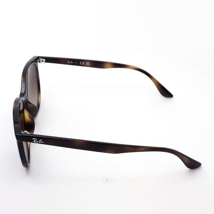 Ray-Ban（レイバン） サングラス プレミア生産終了モデル Ray-Ban