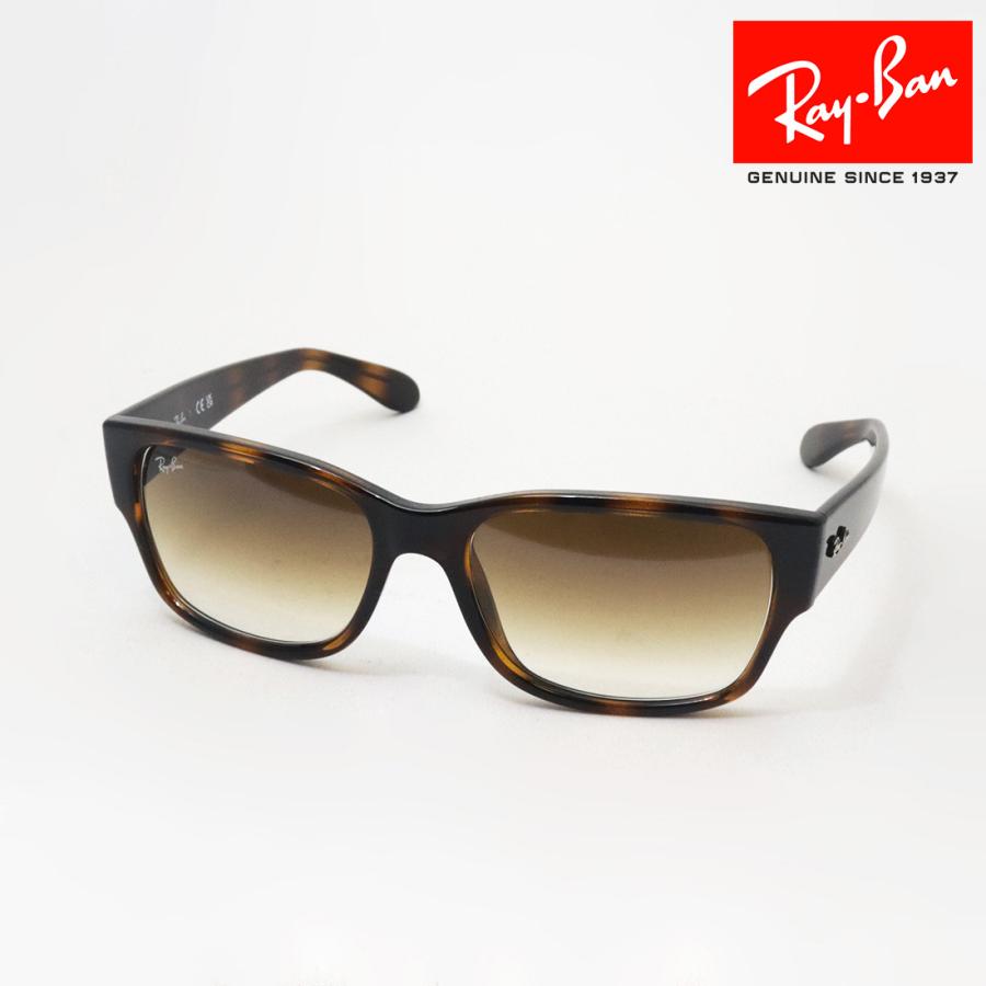 Ray-Ban レイバン サングラス プレミア生産終了モデル RB4388