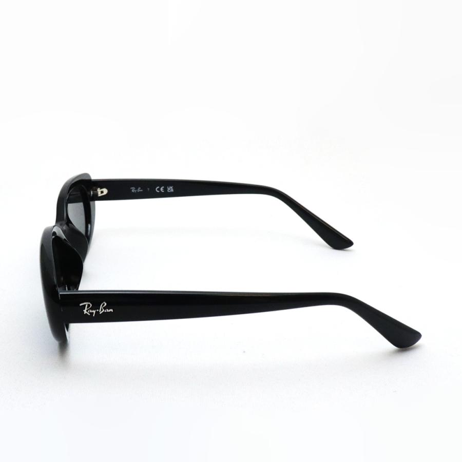 Ray-Ban（レイバン） サングラス Ray-Ban RB4441D 667787 53 オーバル
