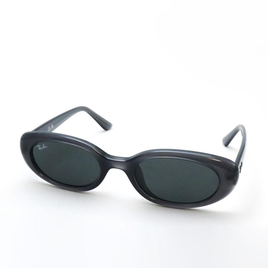 Ray-Ban（レイバン） サングラス NewModel Ray-Ban RB4441D 677787 53