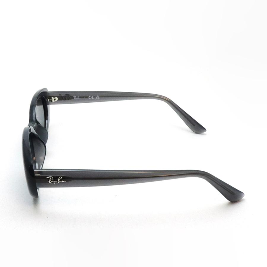 Ray-Ban（レイバン） サングラス NewModel Ray-Ban RB4441D 677787 53