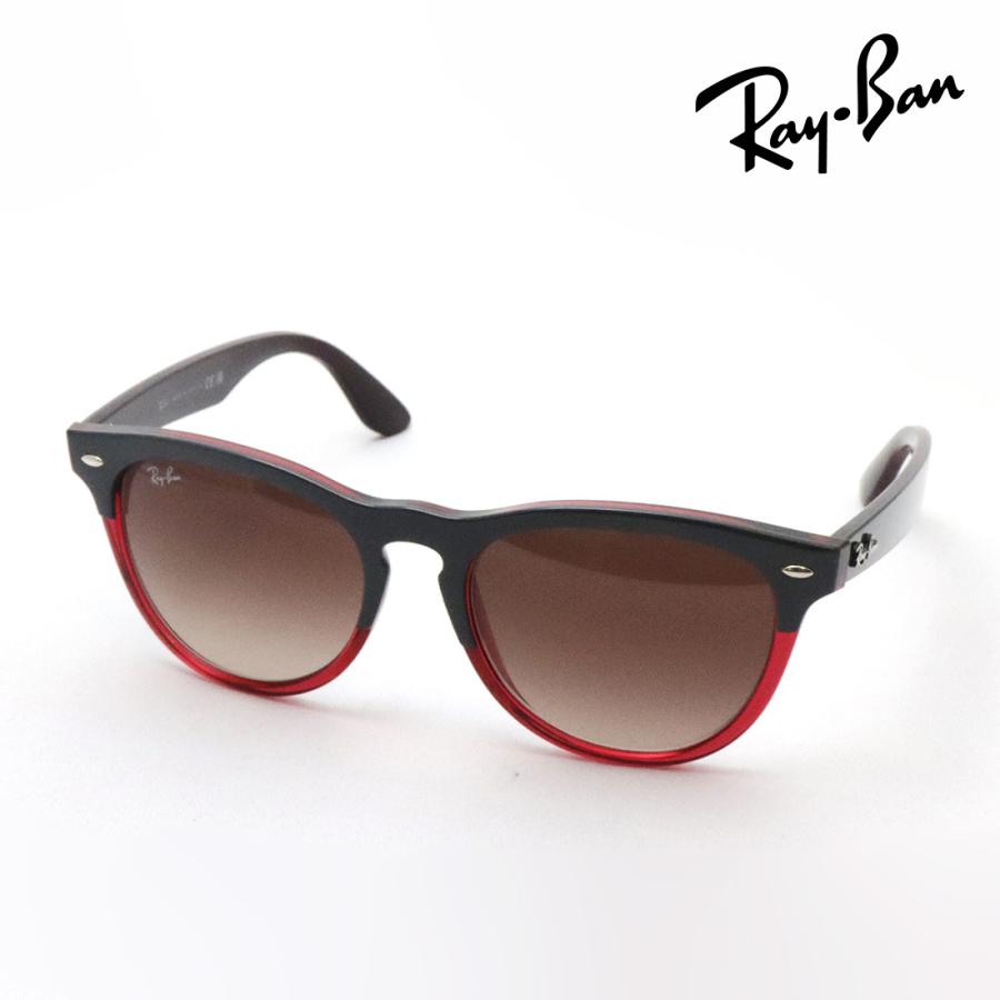 Ray-Ban（レイバン） サングラス プレミア生産終了モデル アイリス
