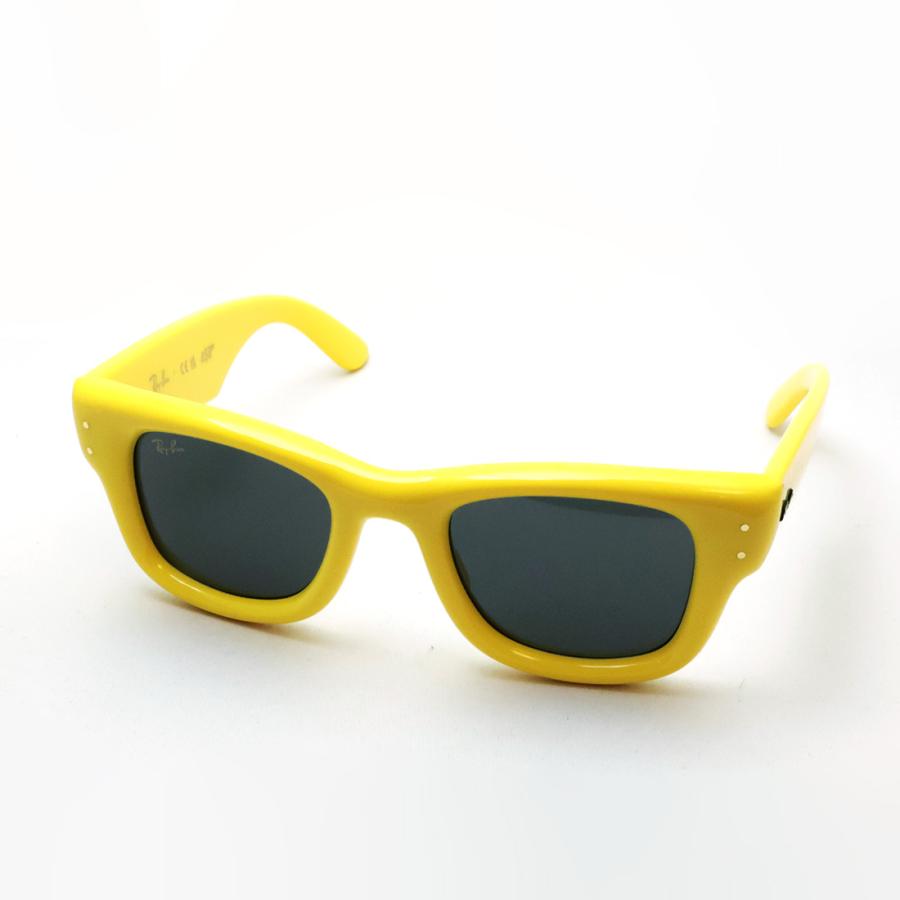 Ray-Ban（レイバン） サングラス NewModel Ray-Ban WAYFARER PUFFER