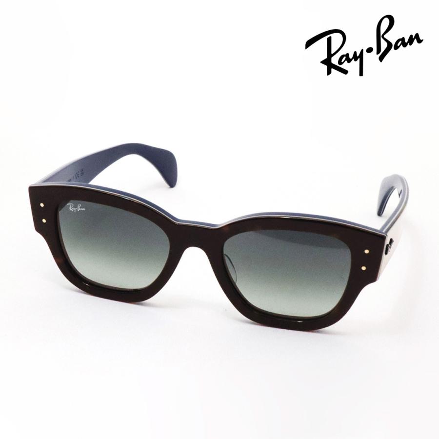 Ray-Ban（レイバン） サングラス プレミア生産終了モデル Ray-Ban
