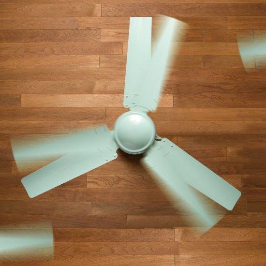 HERMOSA（ハモサ） （HERMOSA）モニカシーリングファン カラーグリーン