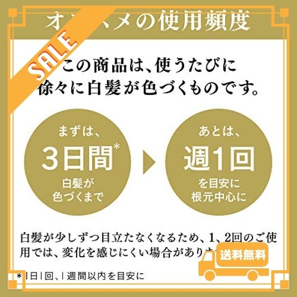 リライズ 白髪染め グレーアレンジ (自然なグレー) ふんわり仕上げ 男女兼用 本体 155g｜glegle-drive｜07