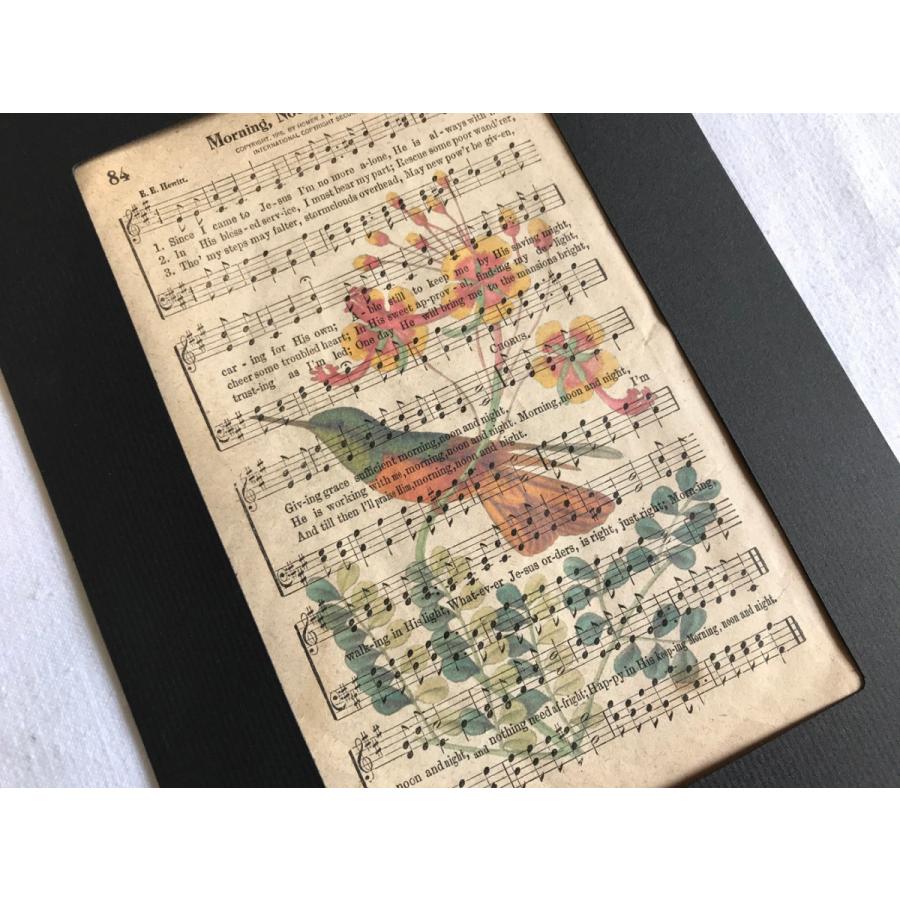 ボタニカルアート・楽譜プリント R 『ハミングバード2』・ビンテージ楽譜に植物などレトロな図案が印刷されたオリジナルアート フレーム付｜glitter-antiques｜05
