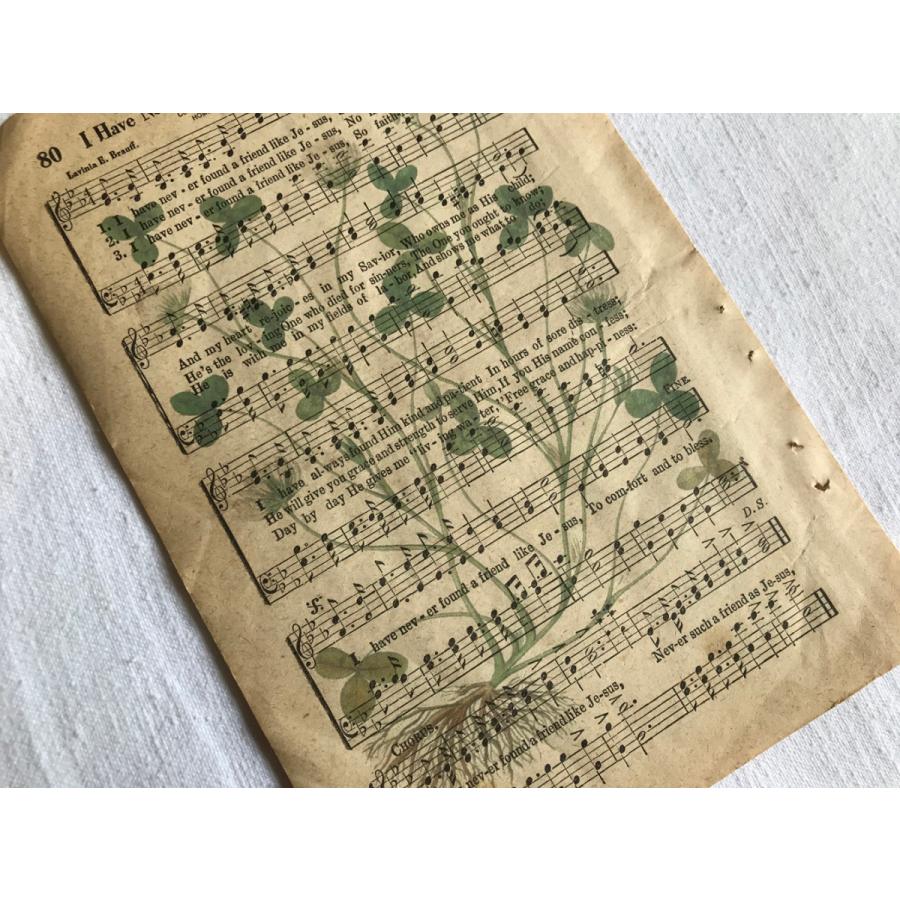ボタニカルアート・楽譜プリント T 『シロツメクサ』・ビンテージ楽譜に植物などレトロな図案が印刷されたオリジナルアート フレーム付｜glitter-antiques｜03