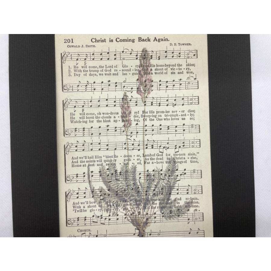 ボタニカルアート・楽譜プリント W 『ラベンダー1』・ビンテージ楽譜に植物などレトロな図案が印刷されたオリジナルアート フレーム付｜glitter-antiques｜04
