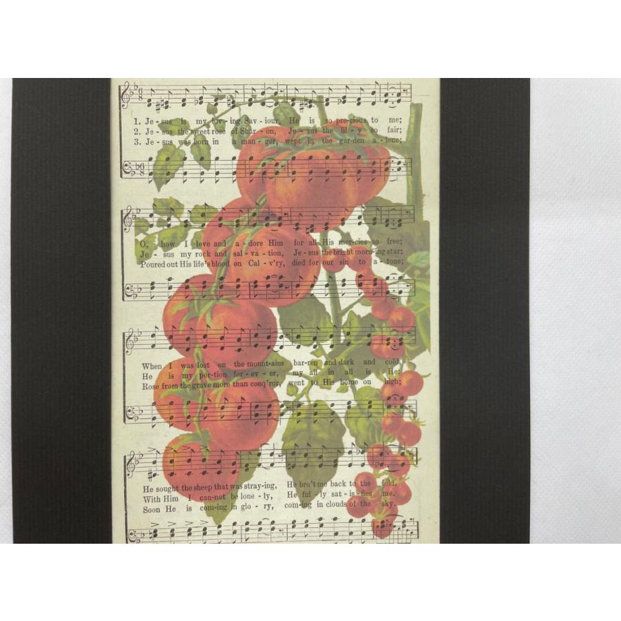 ボタニカルアート/楽譜プリント Y 『トマト』・ビンテージ楽譜に植物などレトロな図案が印刷されたオリジナルアート フレーム付｜glitter-antiques｜04