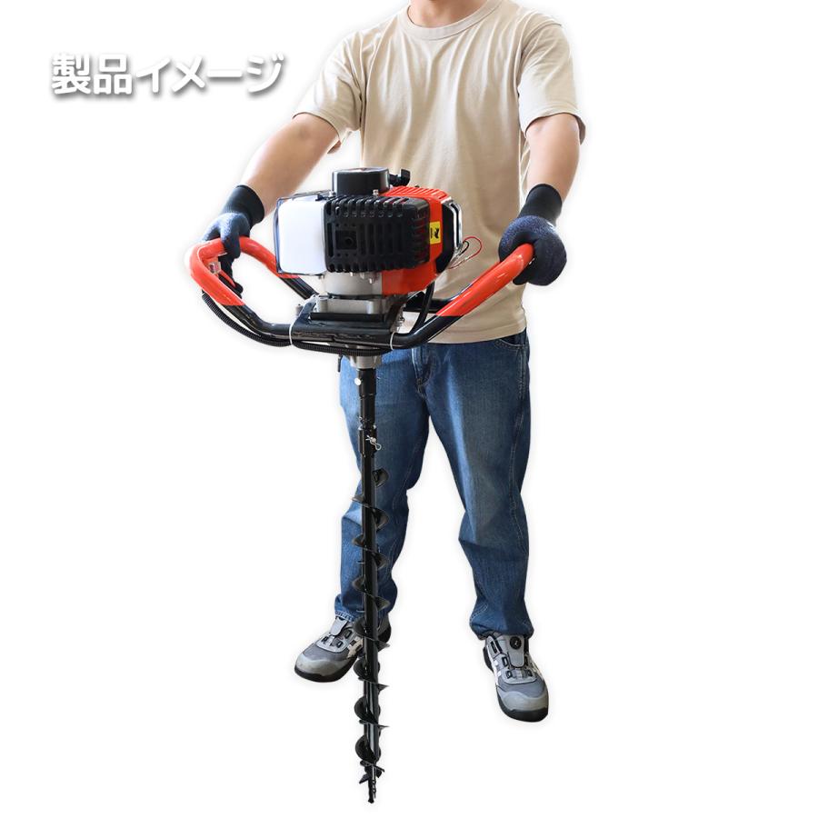 リュウビンタイ　掘り上げ苗　セットA 楽天市場】ゼット プロステイタス オーダーグラブ 262型 軟式グローブ