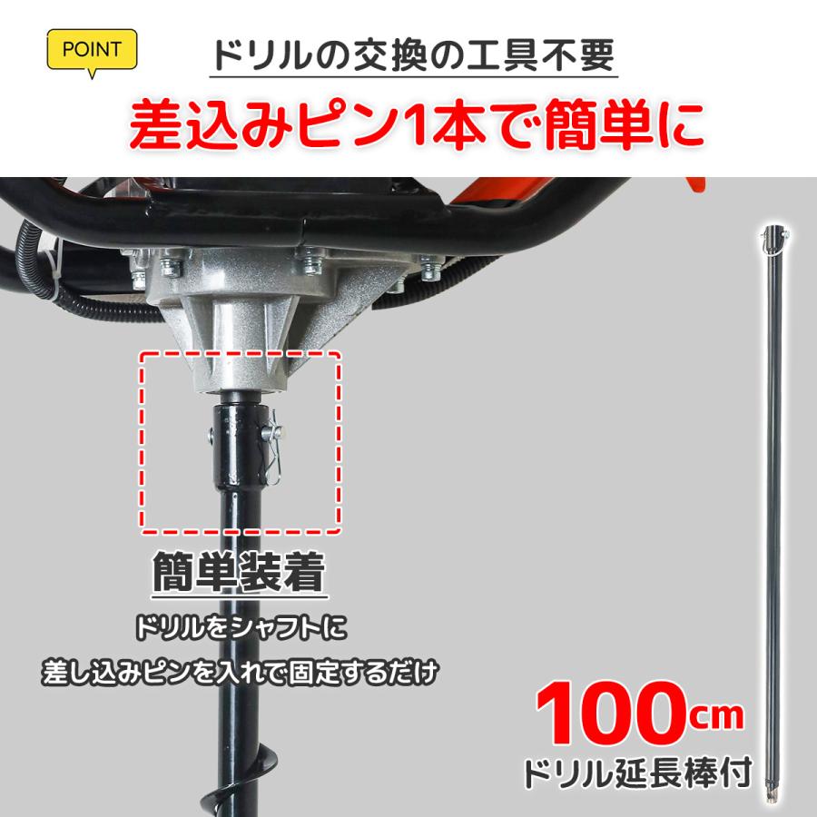 リュウビンタイ　掘り上げ苗　セットA プロステイタス 野球 ゼット 軟式投手用グラブ BRGPRO521-G オーダー