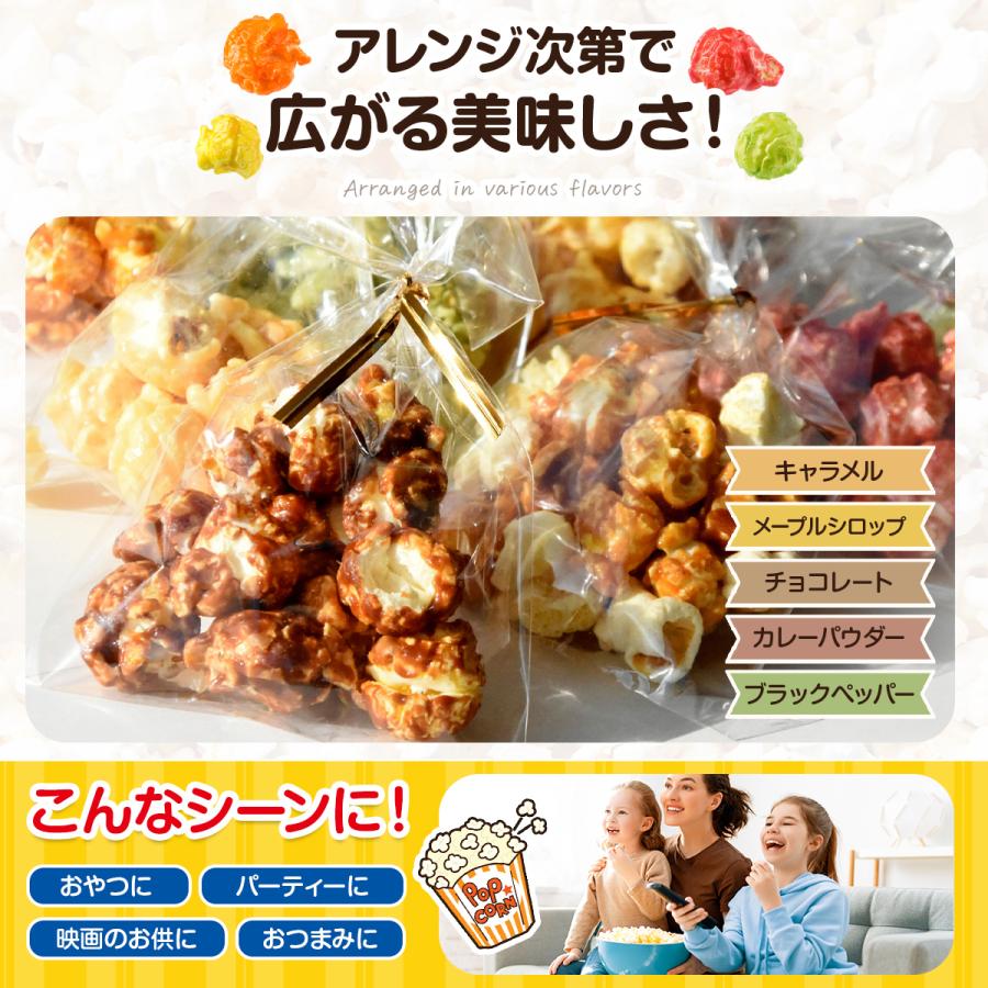 ポップコーン 豆 とうもろこし 種 コーン 電子レンジで手軽に
