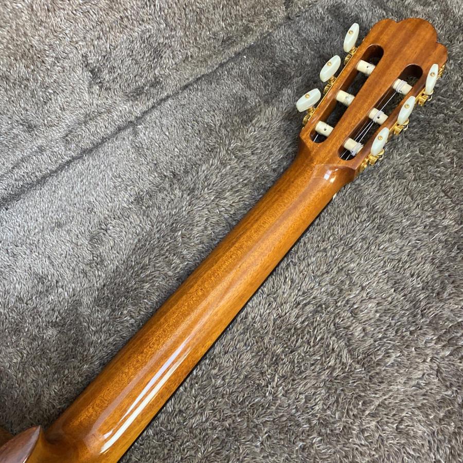 中古】 ASTURIAS | アストリアス 楽器 Standard Classic【尾張小牧店
