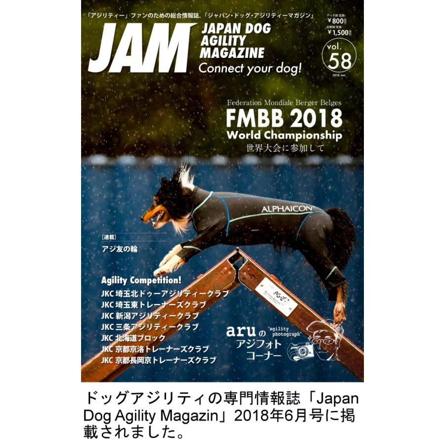 犬用 ドッグアジリティ 競技用スラローム 12本ポール 障害物 自立 組立式 持運びキャリーバッグ付き 犬用 運動器具 訓練 トレーニング しつけ ドッグラン Y1998 グローバルshop ヤフー店 通販 Yahoo ショッピング