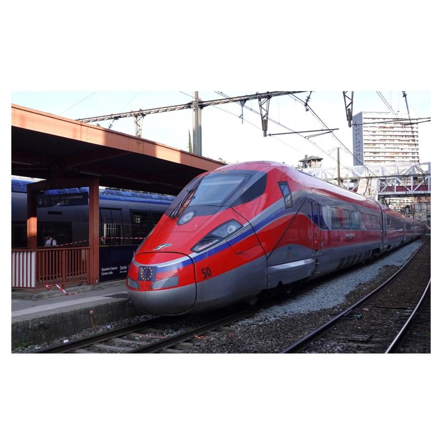 アーノルド(Arnold) N フレッチャロッサ 1000 HN2621 : global