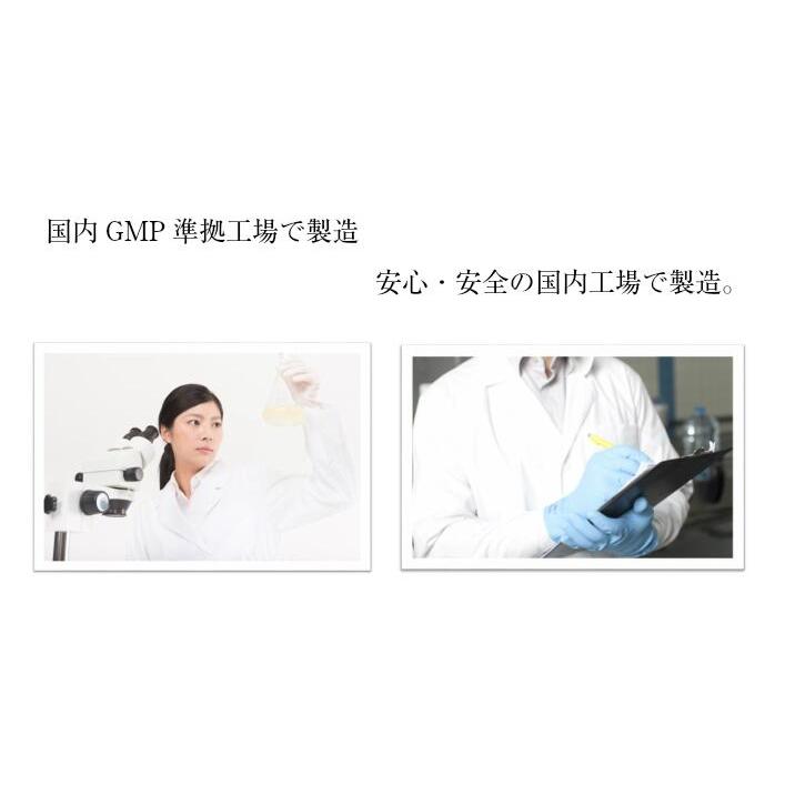 送料無料 母の日 プレゼント アスタキサンチン 若々しさ の ベースサプリメント プレゼント 父 母 男性 女性 40 50 60 70 | ASTALIVE | 06