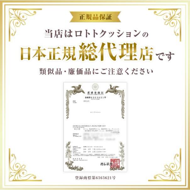 正規品 吐き戻し防止 授乳クッション ロトトクッション |  | 01