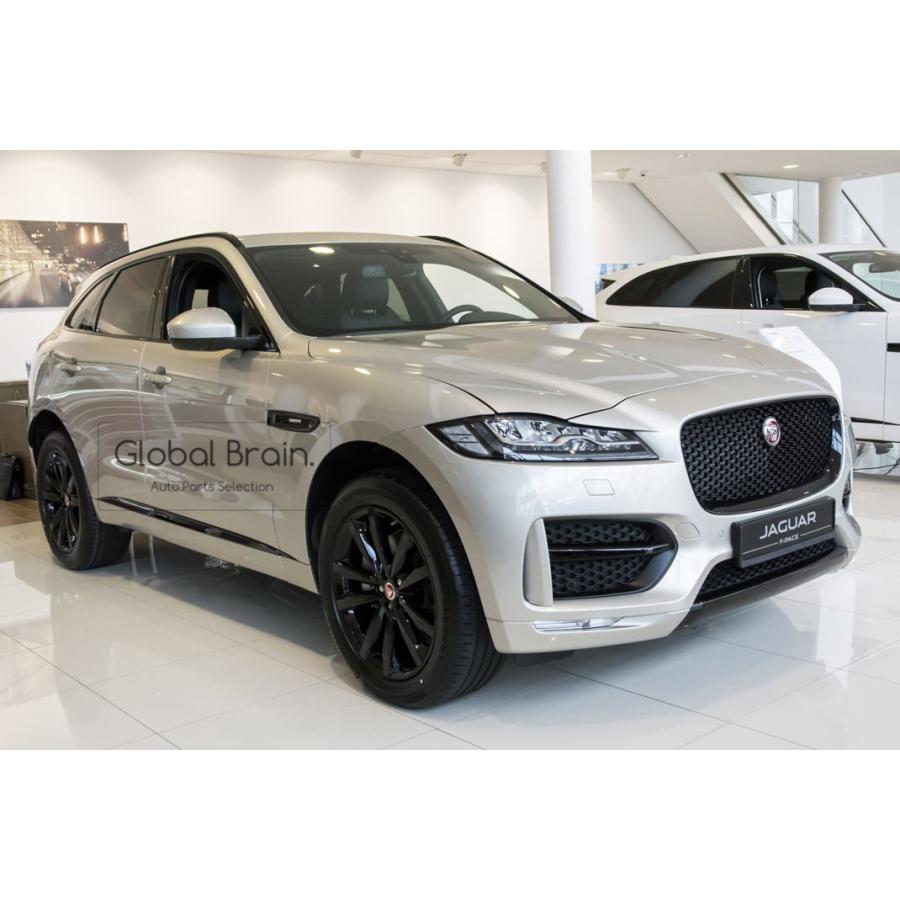 ジャガー F-pace Fペース リア バンパー プロテクター ガード : jaguar