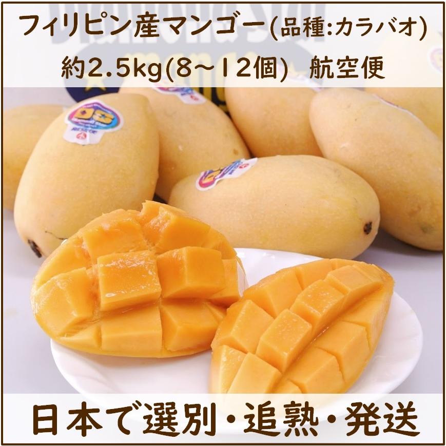 フィリピンマンゴー 約2.5kg前後 (8〜12個入り) : 0505-0-10 