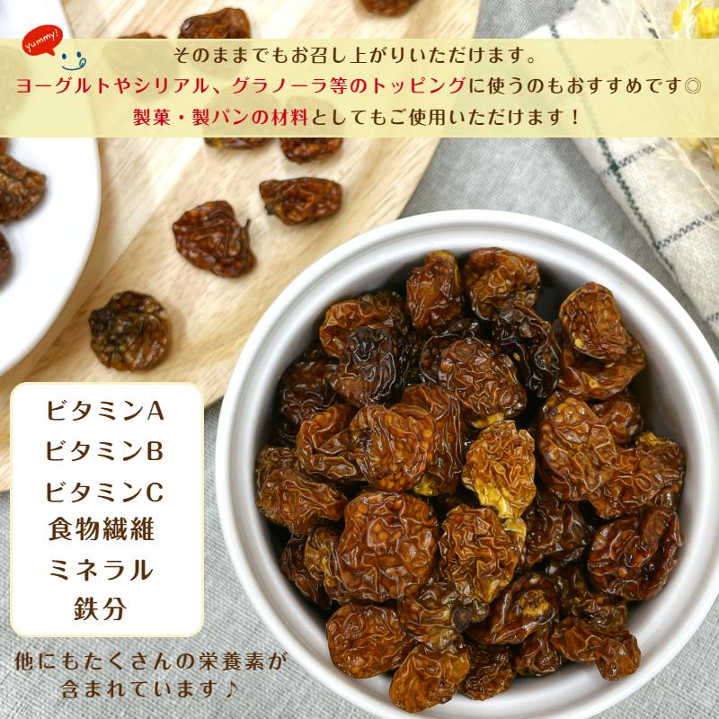 ドライフルーツ ゴールデンベリー 1kg ほおずき 無添加 砂糖不使用 無添加・砂糖不使用】ドライインカベリー（ゴールデンベリー