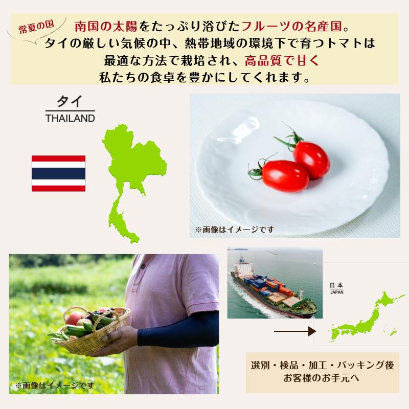 ドライ トマト 1kg (500g×2袋) 甘い とまと 野菜 ドライフルーツ