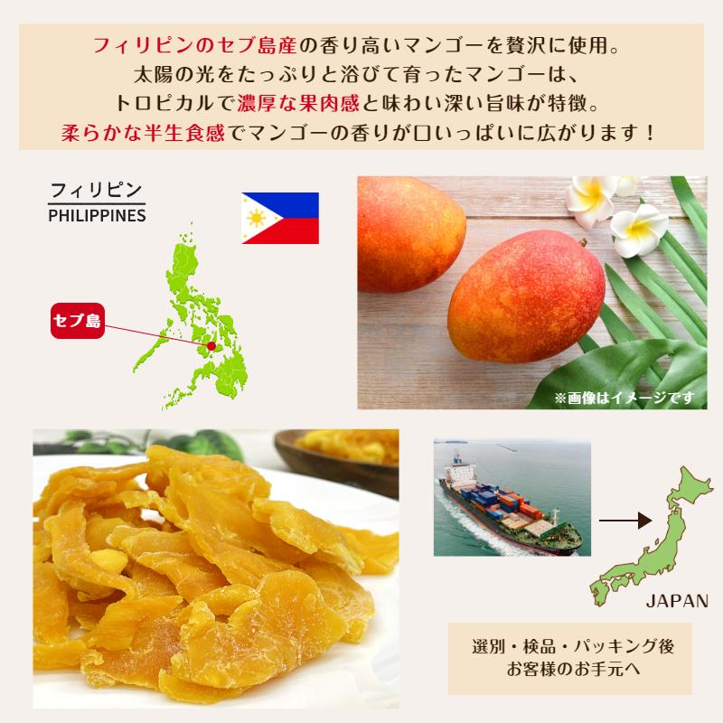 ドライマンゴー 切り落とし 2kg (500g×4袋) 大容量 フィリピン産 セブ