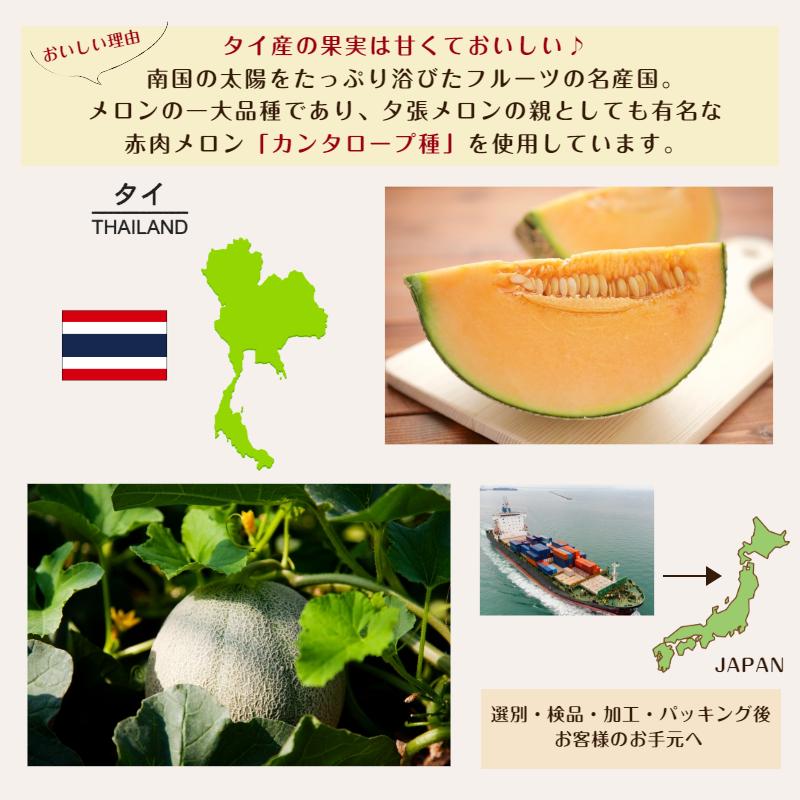 ドライ ソフト メロン スライス 500g 赤肉メロン カンタロープ ドライ