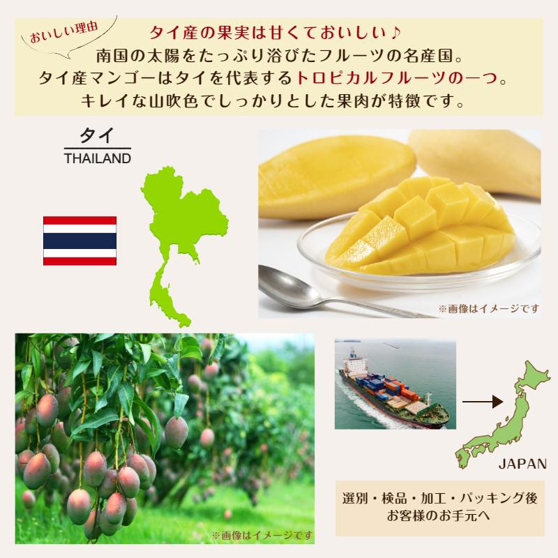 ドライ ソフト マンゴー スライス 500g 無着色 無香料 ドライフルーツ