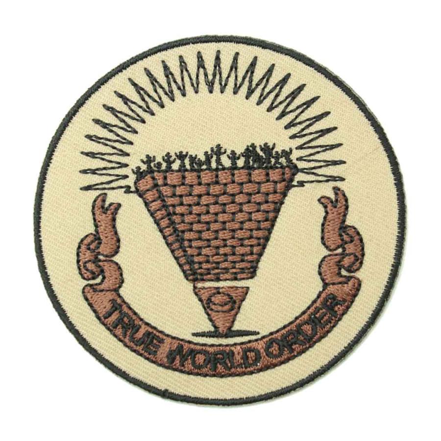 ワッペン アイロン TRUE WORLD ORDER ディープステート フリーメイソン